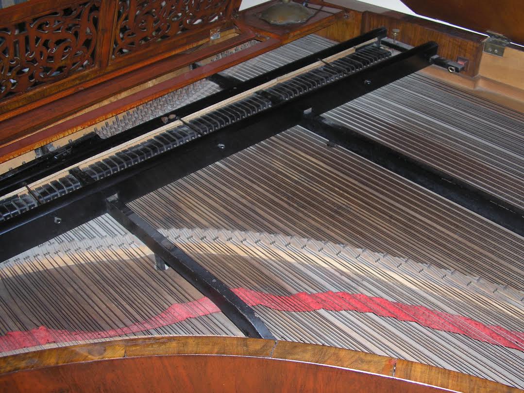 Viennese action grand, which has hammers mounted in reverse. These are found on grands before about 1900 and are best avoided unless you have a technician familiar with them.